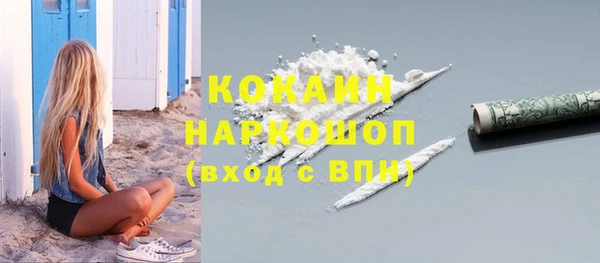 мдпв Дмитриев
