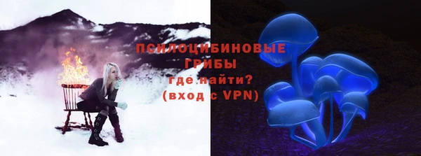 мдма Ельня