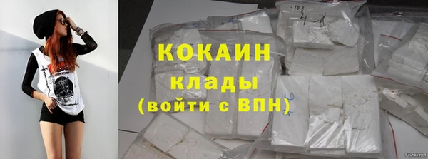 мдпв Дмитриев