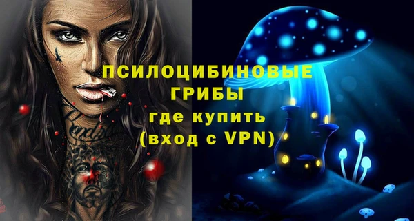 мдма Ельня