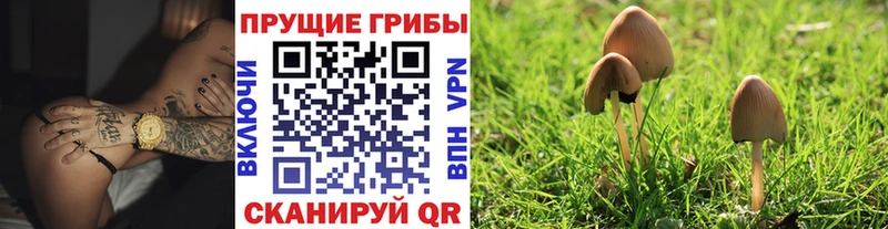 мега ССЫЛКА  Лянтор  Галлюциногенные грибы мухоморы 